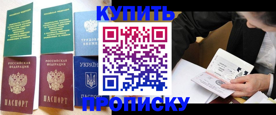 прописка для школы в Бавлах